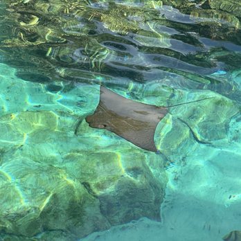 Discovery Cove - The grand reef - Amusement Parks Near Me - Orlando, Florida
