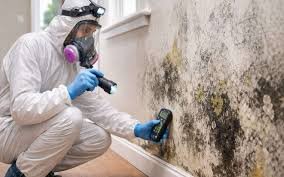 Mold Safe Solutions - mold inspector in Temecula, CA