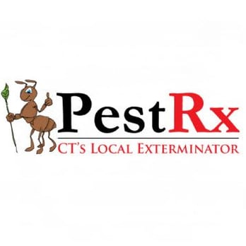 PestRx - Pest Control Near Me - Northford, Connecticut PestRx - Pest Control Near Me - Northford, Connecticut