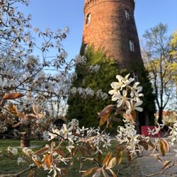 Bar im Wasserturm - Bar im Wasserturm