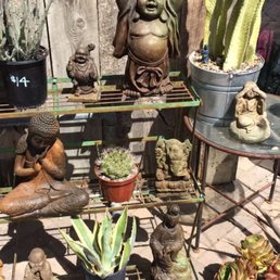 Knickknack patty wack, Buddhas in the house!