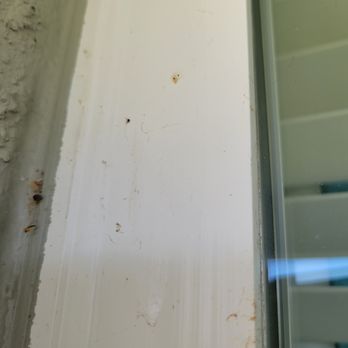 Spire Pest Control - Pest Control Near Me