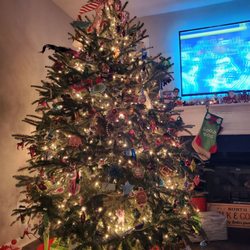 Belmont Christmas Tree Farm - Our Christmas tree!