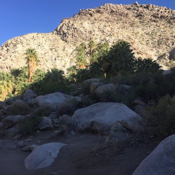 Fortynine Palms Oasis - Hiking Near Me - Twentynine Palms, California