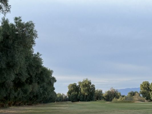 Furnace Creek Ranch Golf Course by null