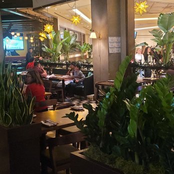 Sugarcane - Cocktail Bars Near Me - Las Vegas, Nevada