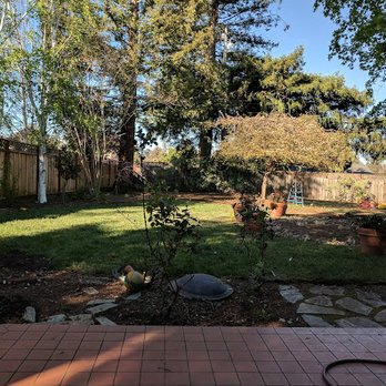 Landscape Nirvana - before backyard - Landscape Architects or Designers Near Me