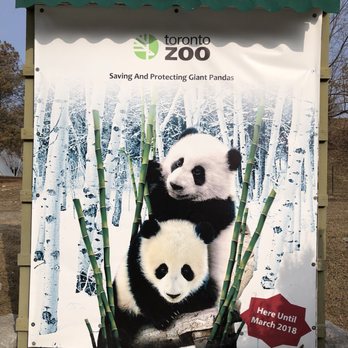 Toronto Zoo - Zoos Near Me - Toronto, Ontario Toronto Zoo - Zoos Near Me - Toronto, Ontario