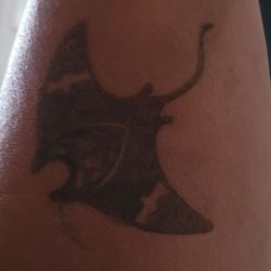 Adorned Kauai Henna & Jagua Body Art - I Smeared it twice, Manta Ray! But it still turned out awesome!