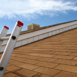 Sochia Roofing & Shed Builders