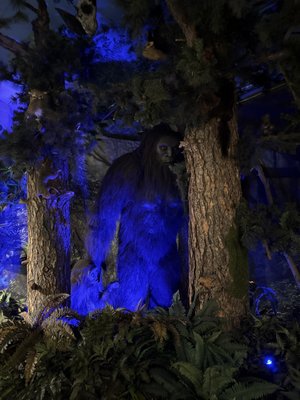 Sasquatch Outpost by null