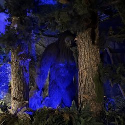 Sasquatch Outpost
