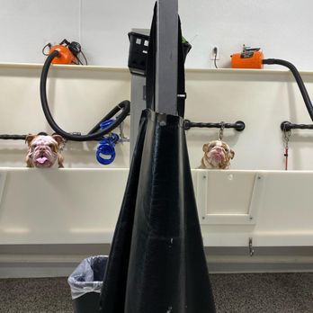 Self Serve Pet Spa - Pet Groomers Near Me - Bakersfield, California Self Serve Pet Spa - Pet Groomers Near Me - Bakersfield, California