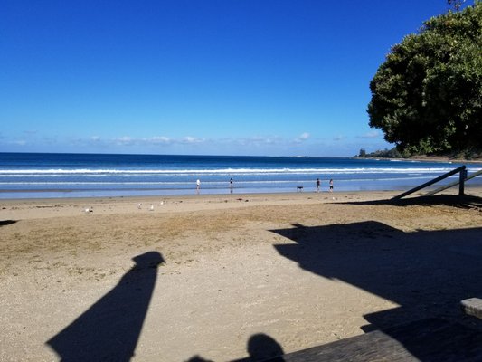 Lorne Beach Pavilion by null