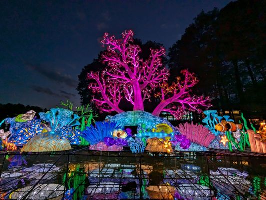 Koka Booth Amphitheatre by null