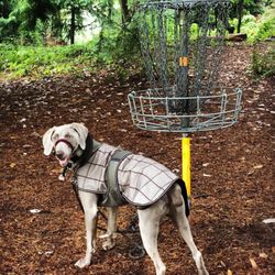 Mineral Springs Park - Adam Whidbey