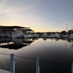 Views