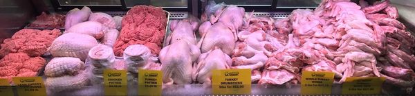 Godshalls Poultry by null