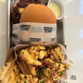 Cowy Burger - Cowy Burger and Bacon Cheese Fries - Burgers Near Me - Miami, Florida Cowy Burger - Cowy Burger and Bacon Cheese Fries - Burgers Near Me - Miami, Florida