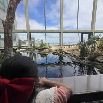 Monterey Bay Aquarium - Bird area enclosed - Aquariums Near Me - Monterey, California