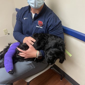 PetSmart Dog Training - My son with his poor puppy in excruciating pain - Pet Groomers Near Me - Dublin, Ohio