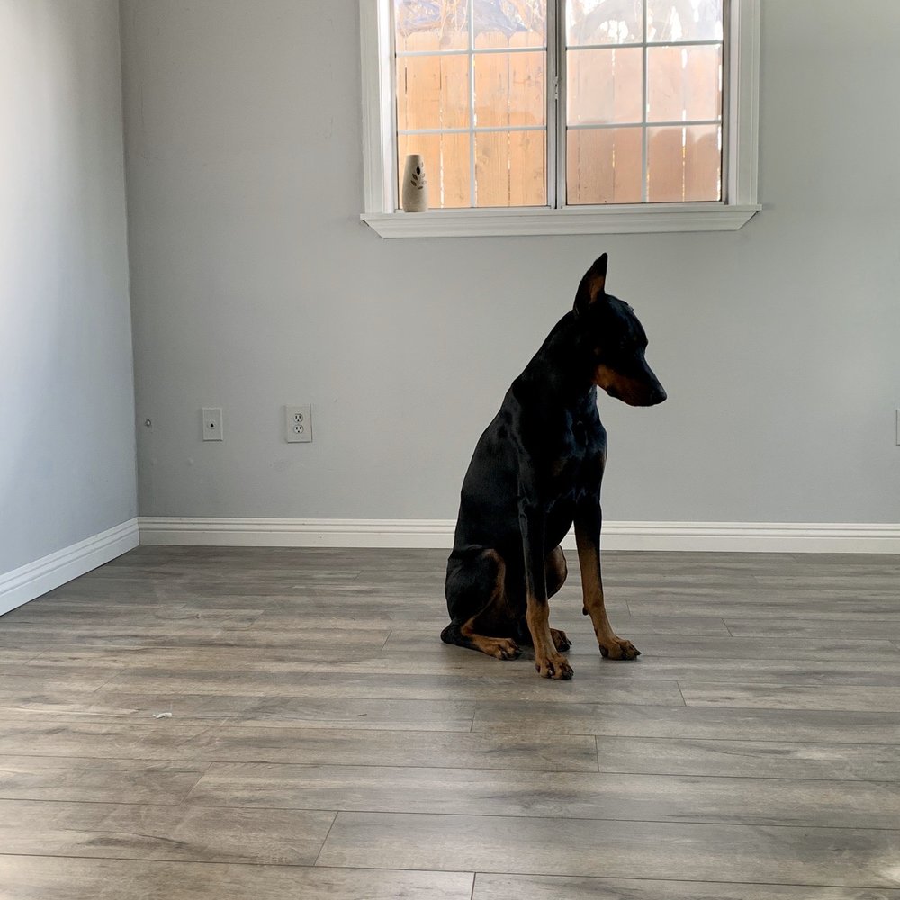 Crescenta Valley Flooring - Flooring Near Me - La Crescenta, California Crescenta Valley Flooring - Flooring Near Me - La Crescenta, California