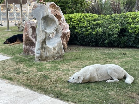 Yalıkavak Marina by null