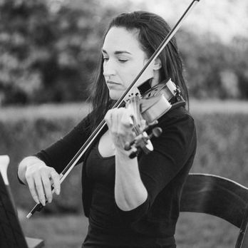 Organic String Quartet - Performing Arts Near Me Organic String Quartet - Performing Arts Near Me