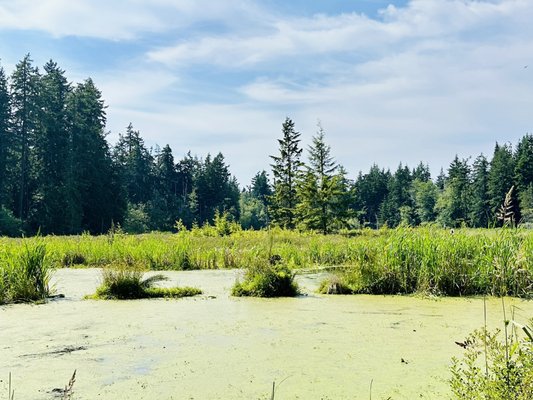 Earth Sanctuary by null