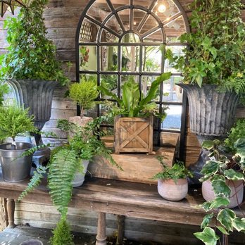 Wisteria Antiques and Design - Plants are displayed beautifully - Antiques Near Me - Soquel, California Wisteria Antiques and Design - Plants are displayed beautifully - Antiques Near Me - Soquel, California