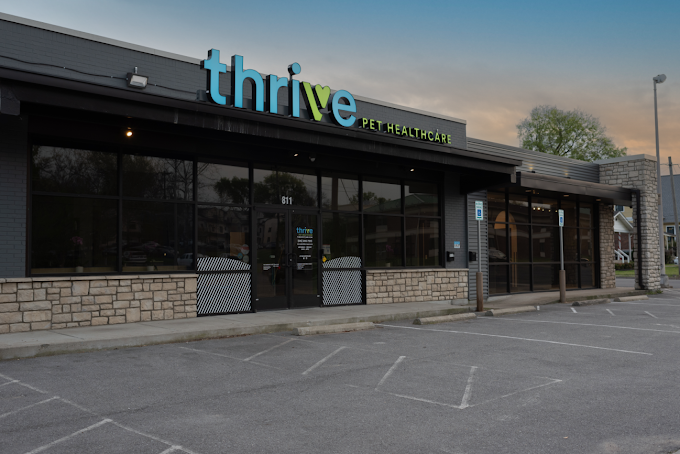 Thrive Pet Healthcare - Wedgewood