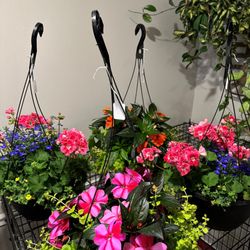 Juniper & Co - Hanging flower pots
