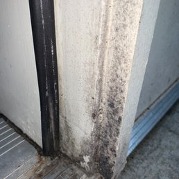 Back Door
