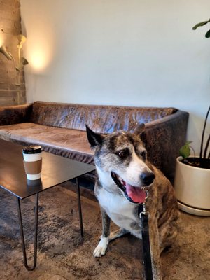 Driftwood Coffee Co. by null