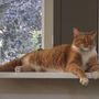 Pet Menders Animal Hospital