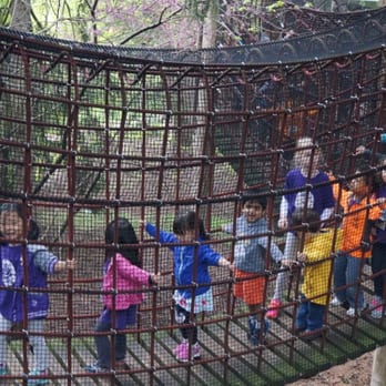 Dupage Montessori School - Spring field trip in Arboretum. - Preschools Near Me - Naperville, Illinois Dupage Montessori School - Spring field trip in Arboretum. - Preschools Near Me - Naperville, Illinois