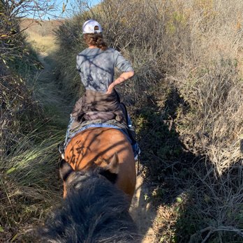 Pacific Dunes Riding Ranch - Our guide leading us home - Horseback Riding Near Me - Oceano, California Pacific Dunes Riding Ranch - Our guide leading us home - Horseback Riding Near Me - Oceano, California