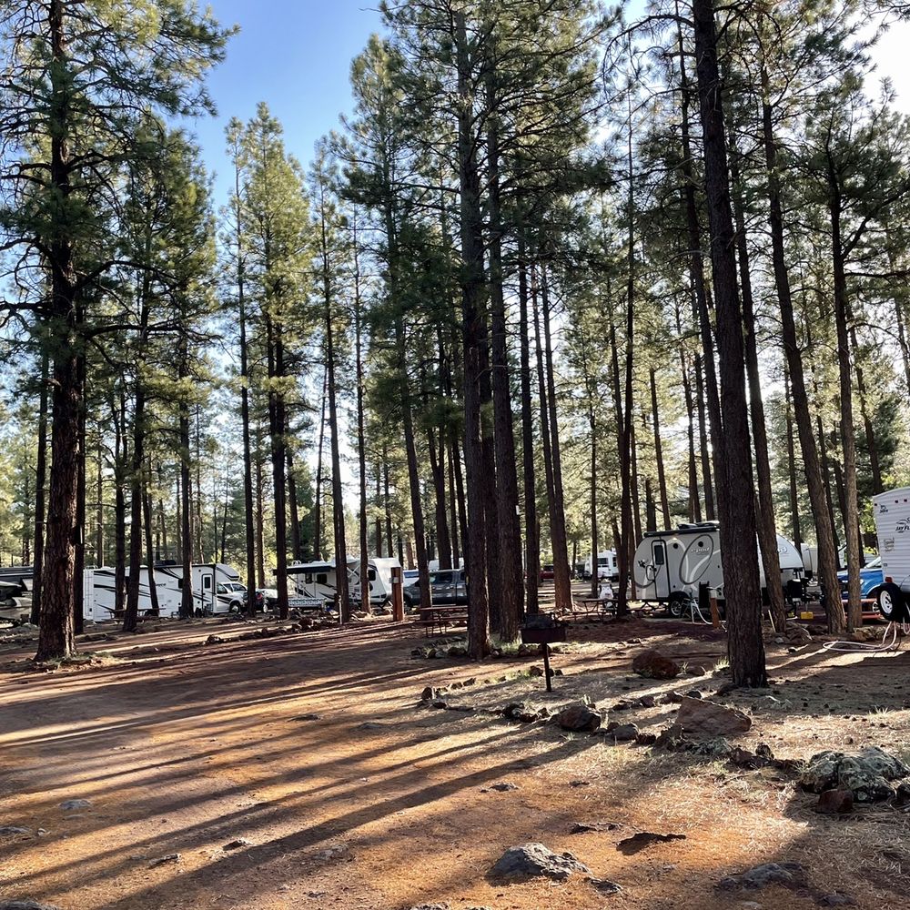 Woody Mountain Campground - Campground. - Campgrounds Near Me - Flagstaff, Arizona Woody Mountain Campground - Campground. - Campgrounds Near Me - Flagstaff, Arizona