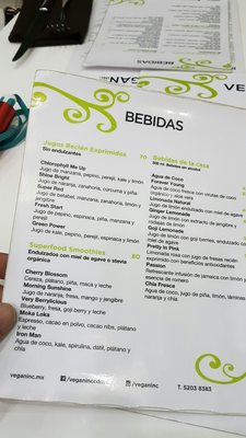 Menu photo 2 Vegan Inc Ciudad de México, DIF Menu photo 2 Vegan Inc Ciudad de México, DIF