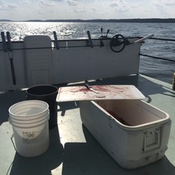 Big Green Lake Fishing - Mike will clean the fish for you as well so you can go home with a meal. Or he has a grill on the boat, talk about fresh fish.