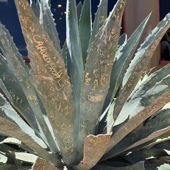 La Vecina - Mexican Near Me - Sedona, Arizona