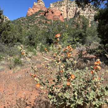 Devil's Bridge Trail - Hiking Near Me - Sedona, Arizona Devil's Bridge Trail - Hiking Near Me - Sedona, Arizona