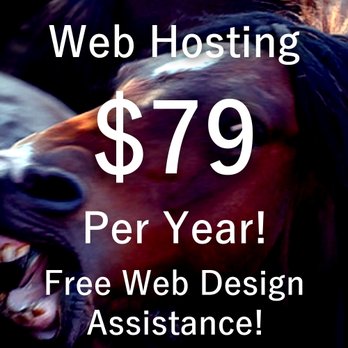 Websnoogie - $79 Dollars per year for Omaha Web Hosting - Web Design Near Me - Omaha, Nebraska