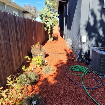 Ramos Jr Landscaping. - After, side yard - Landscaping Near Me Ramos Jr Landscaping. - After, side yard - Landscaping Near Me