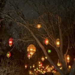 Luminaria