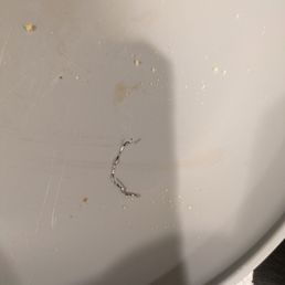 Brillo pad piece found in our pizza Brillo pad piece found in our pizza