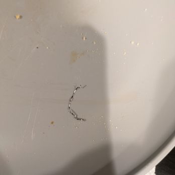 Pizza Time - Brillo pad piece found in our pizza - Pizza Near Me - Coral Springs, Florida Pizza Time - Brillo pad piece found in our pizza - Pizza Near Me - Coral Springs, Florida