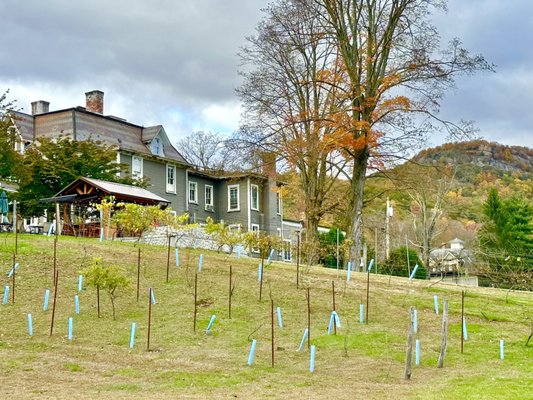 Torne Valley Vineyard by null