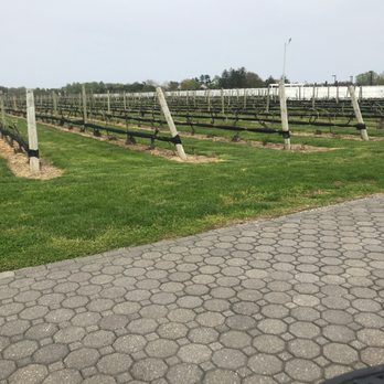 Tomasello Winery - Venues & Event Spaces Near Me - Hammonton, New Jersey Tomasello Winery - Venues & Event Spaces Near Me - Hammonton, New Jersey