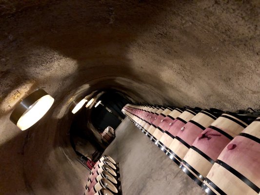 Merus Wines by null